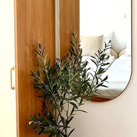 Adriatic Vibes * Zadar